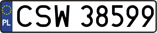 CSW38599