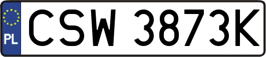CSW3873K