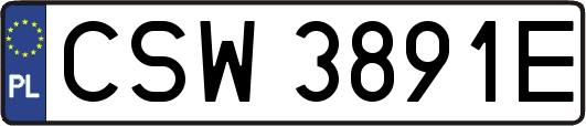 CSW3891E