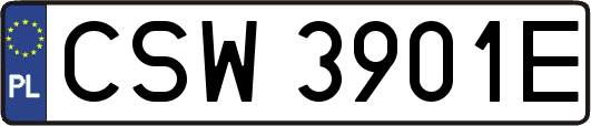 CSW3901E