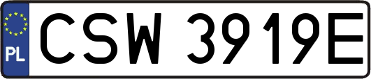 CSW3919E