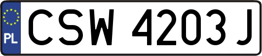 CSW4203J