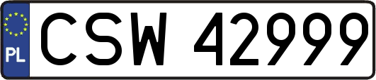 CSW42999