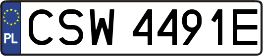 CSW4491E