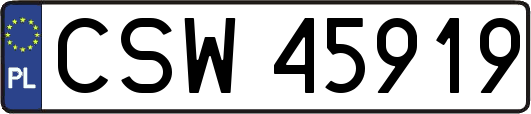 CSW45919