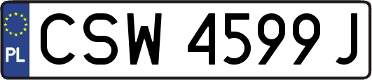 CSW4599J