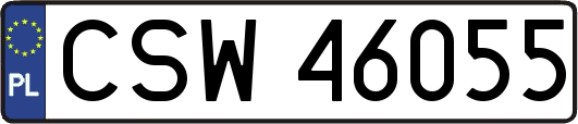 CSW46055