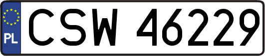CSW46229