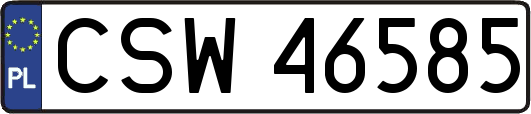 CSW46585
