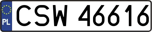 CSW46616