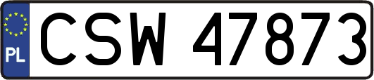 CSW47873