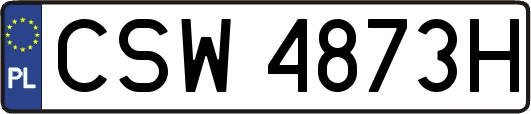 CSW4873H