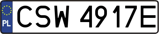CSW4917E