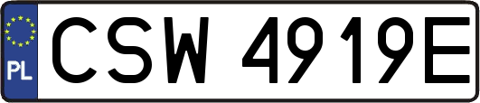 CSW4919E