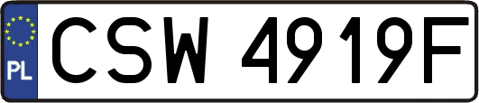 CSW4919F