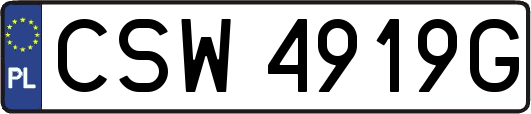CSW4919G