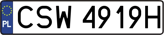 CSW4919H