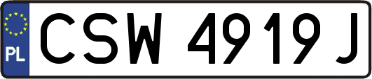 CSW4919J