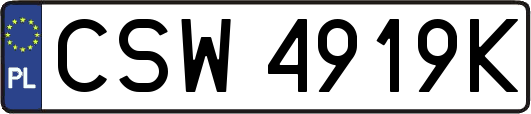 CSW4919K
