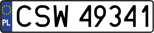 CSW49341