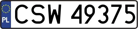 CSW49375