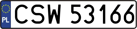 CSW53166
