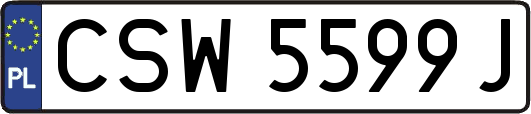 CSW5599J