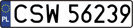 CSW56239