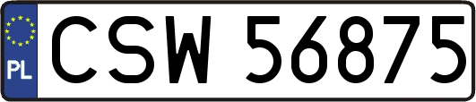 CSW56875
