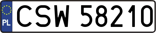 CSW58210