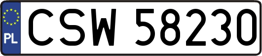 CSW58230