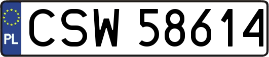 CSW58614