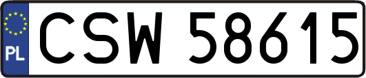 CSW58615