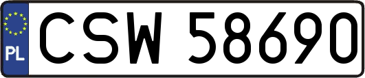 CSW58690