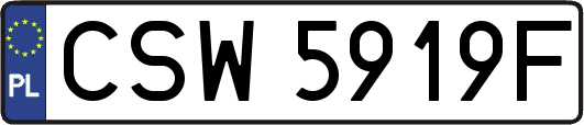 CSW5919F