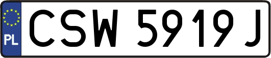 CSW5919J