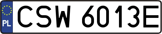 CSW6013E