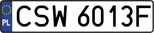 CSW6013F