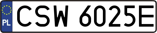 CSW6025E
