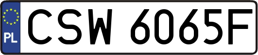 CSW6065F