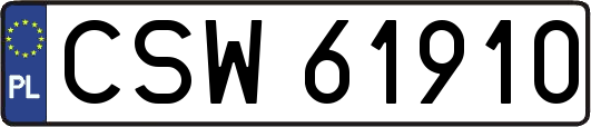 CSW61910