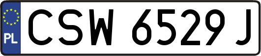 CSW6529J