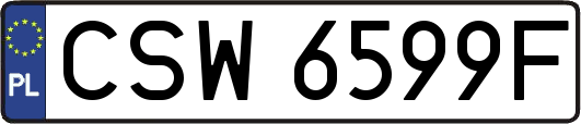 CSW6599F