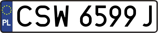 CSW6599J