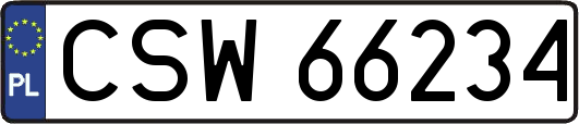 CSW66234