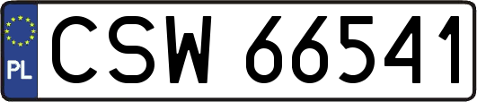 CSW66541