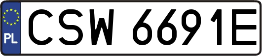 CSW6691E