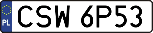 CSW6P53