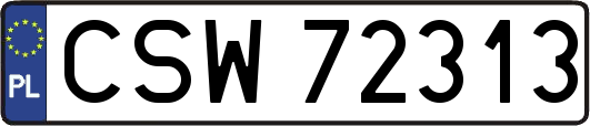 CSW72313