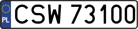 CSW73100